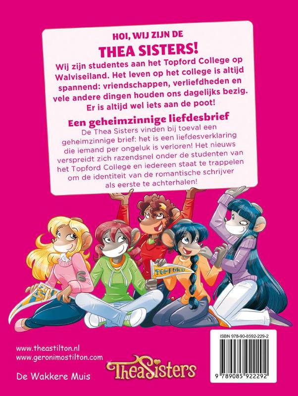 Achterkant van Een geheimzinnige liefdesbrief