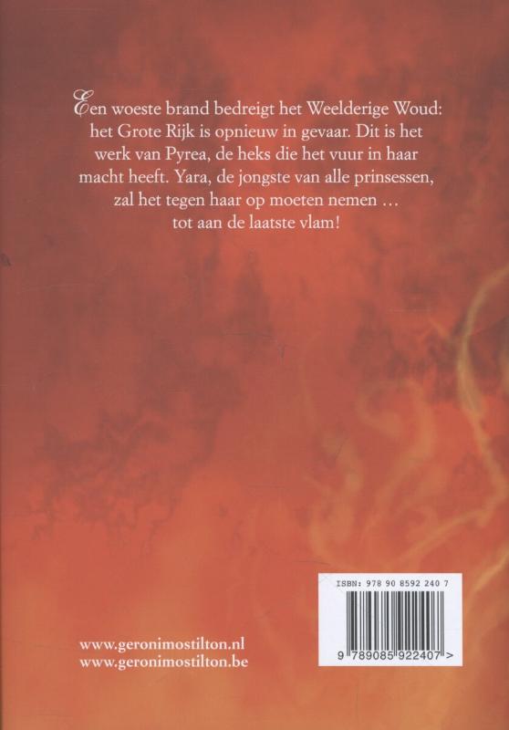 Achterkant van De heks van vuur en vlam