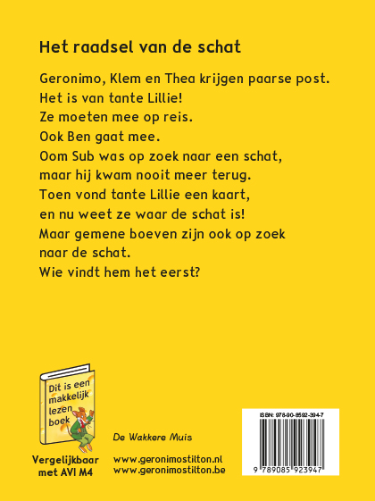 Achterkant van Het raadsel van de schat