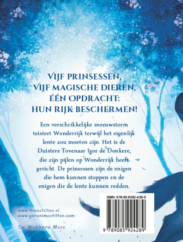 Achterkant van Het boek der raadselen