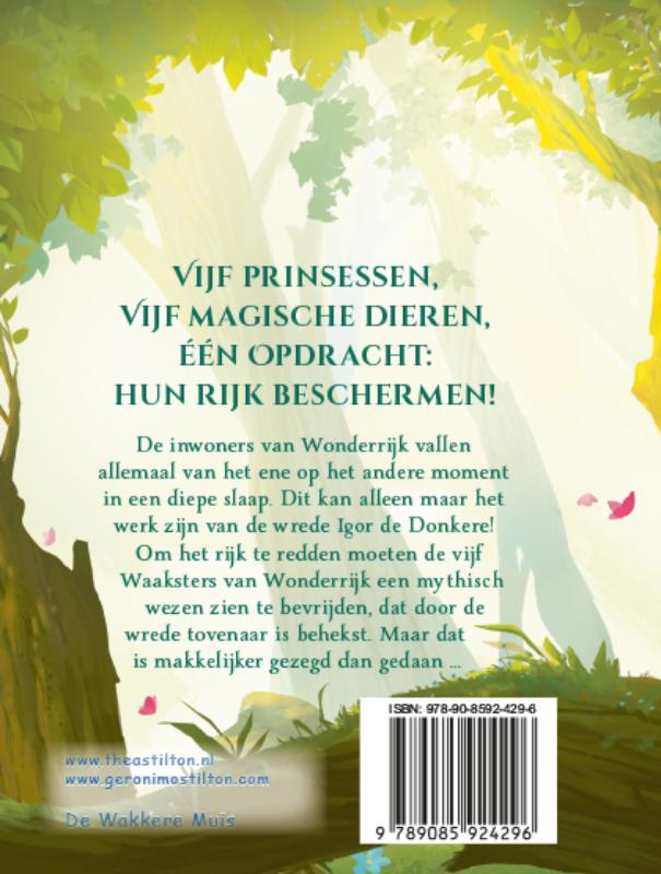 Achterkant van De droombewaker