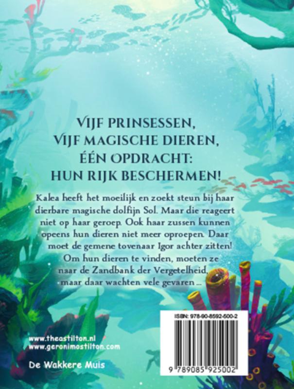Achterkant van Magische herinneringen
