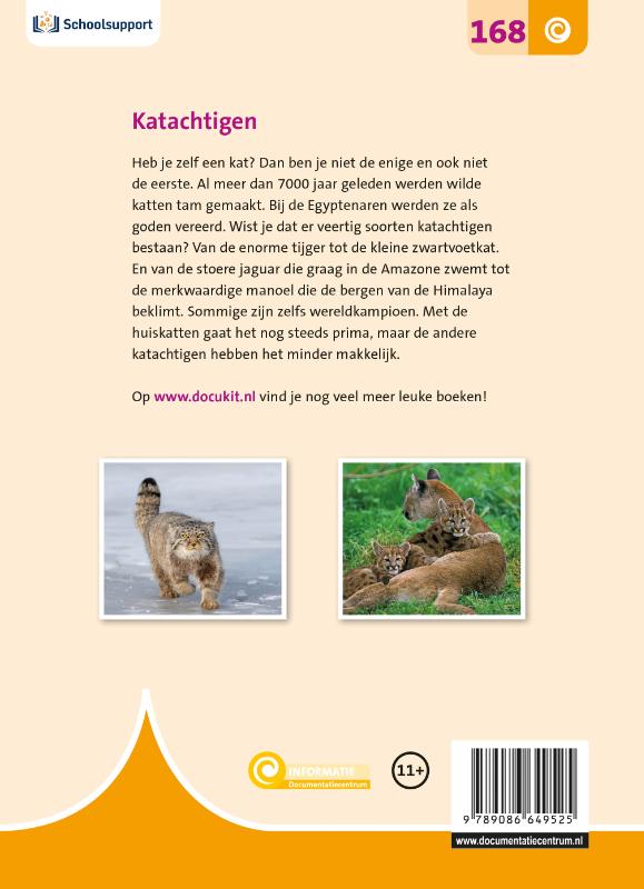 Achterkant van Katachtigen