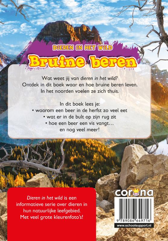 Achterkant van Bruine beren