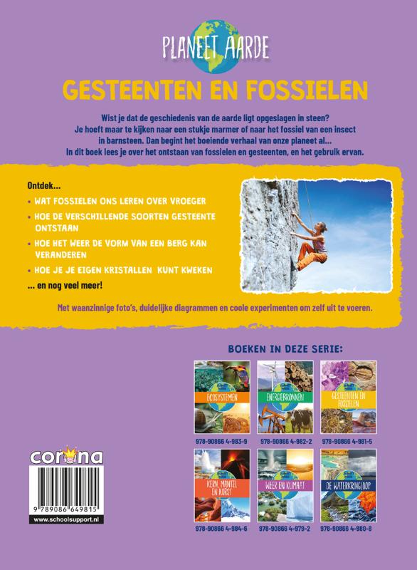 Achterkant van Gesteenten en fossielen