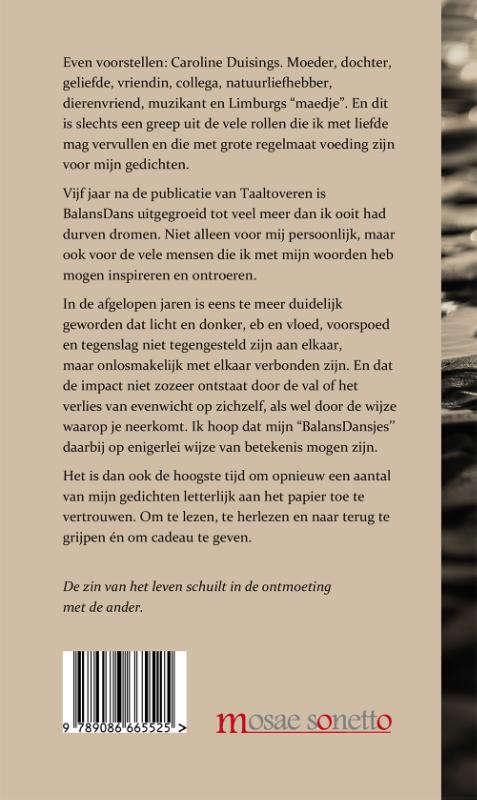 Achterkant van Taaltovertuimelingen