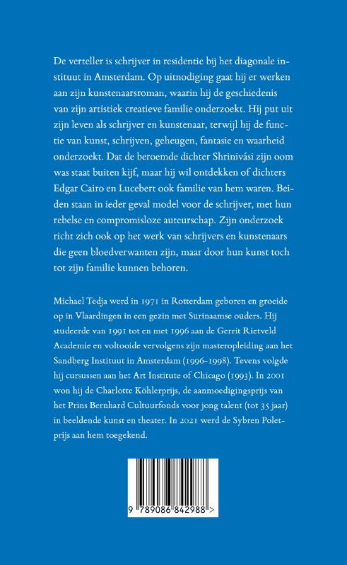 Achterkant van Het diagonale instituut