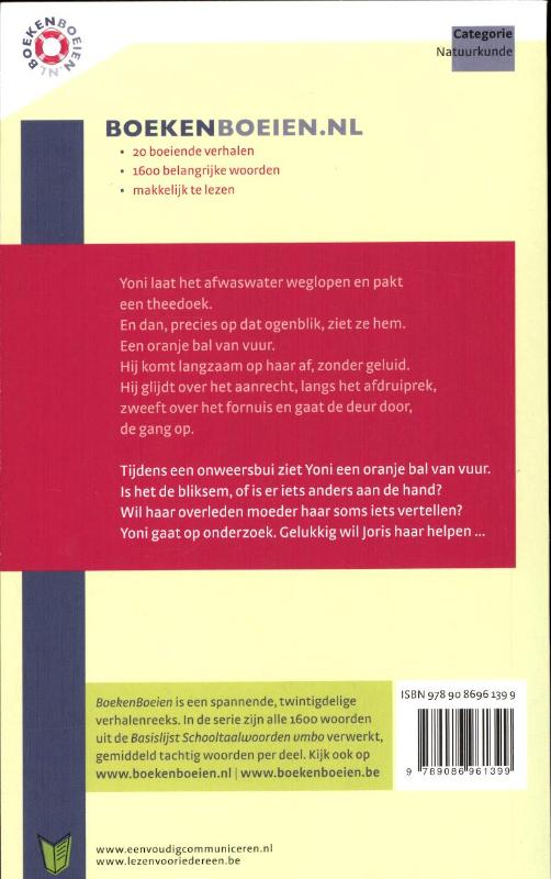 Achterkant van Bolbliksem