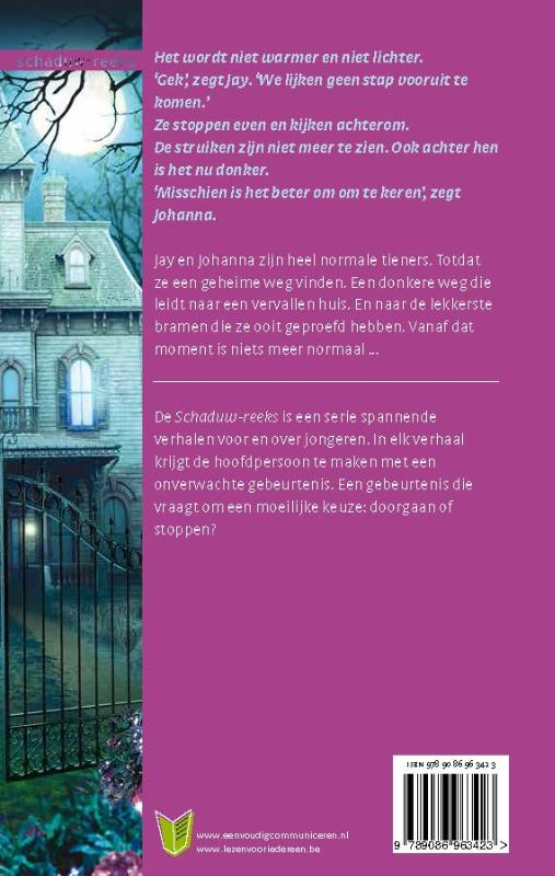 Achterkant van Het schemerhuis