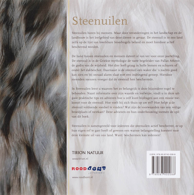 Achterkant van Steenuilen