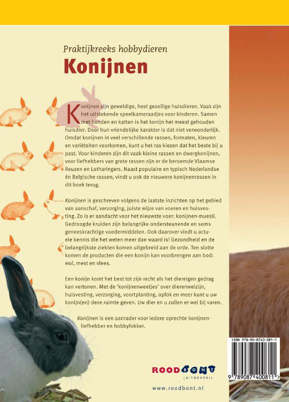 Achterkant van Konijnen