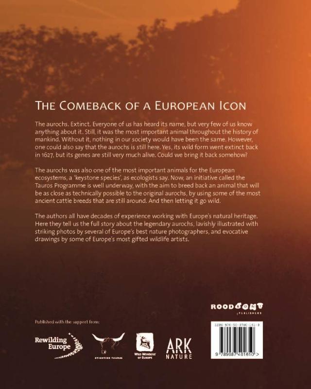 Achterkant van The Aurochs