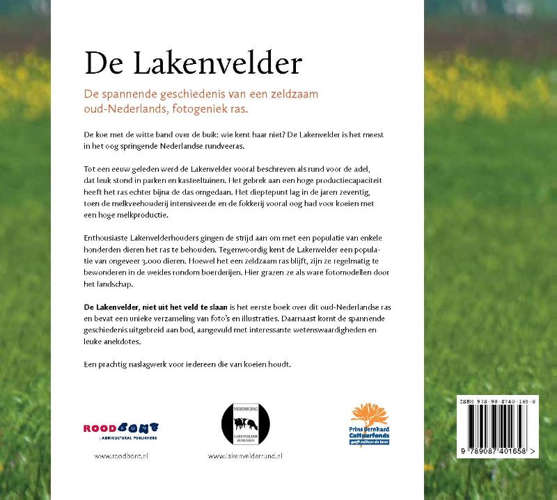 Achterkant van De lakenvelder