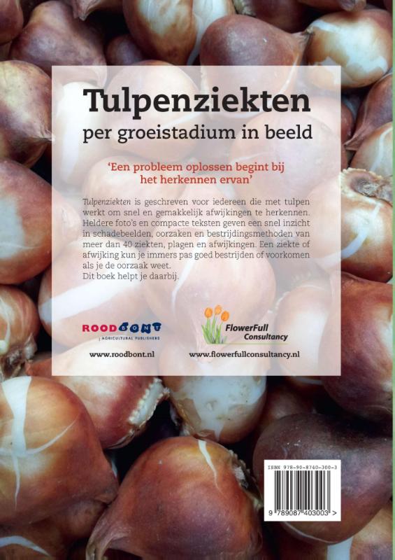Achterkant van Tulpenziekten