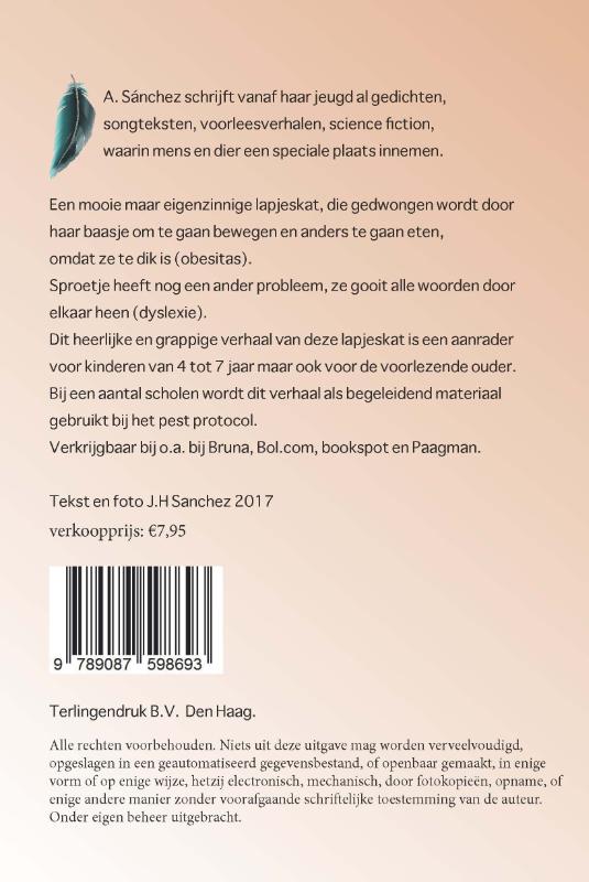 Achterkant van De avonturen van Sproetje