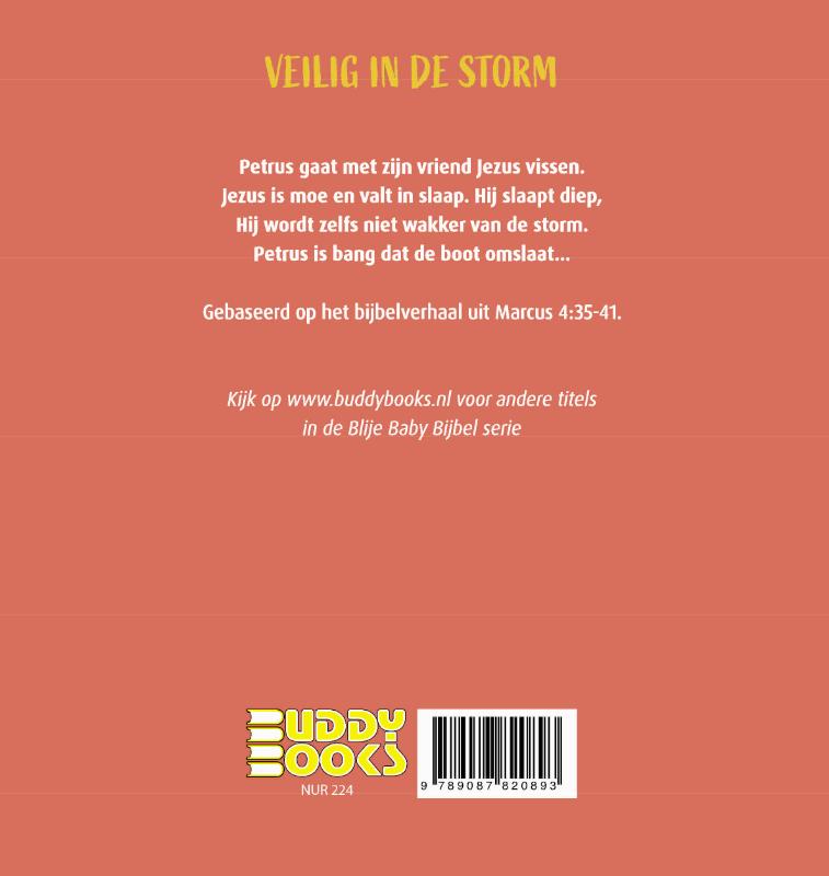 Achterkant van Veilig in de storm
