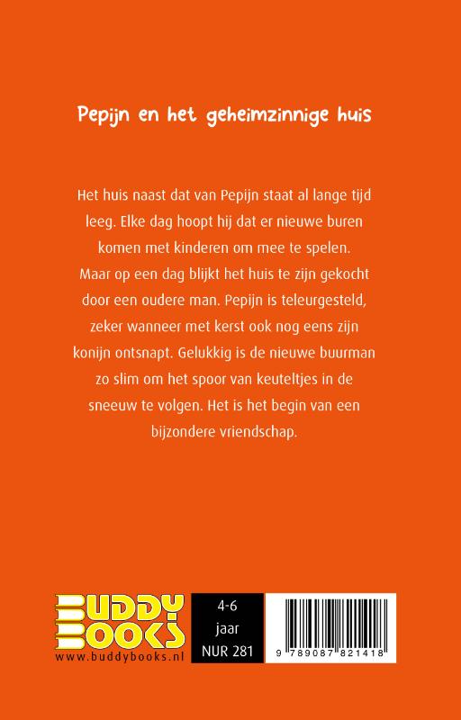 Achterkant van Pepijn en het geheimzinnige huis