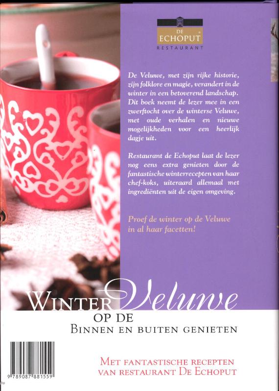 Achterkant van Winter op de Veluwe