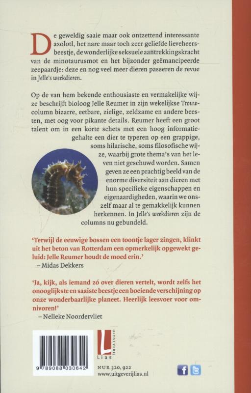 Achterkant van Jelle's weekdieren