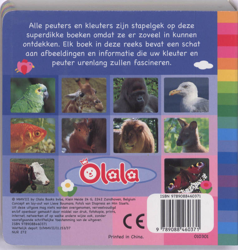 Achterkant van Dieren