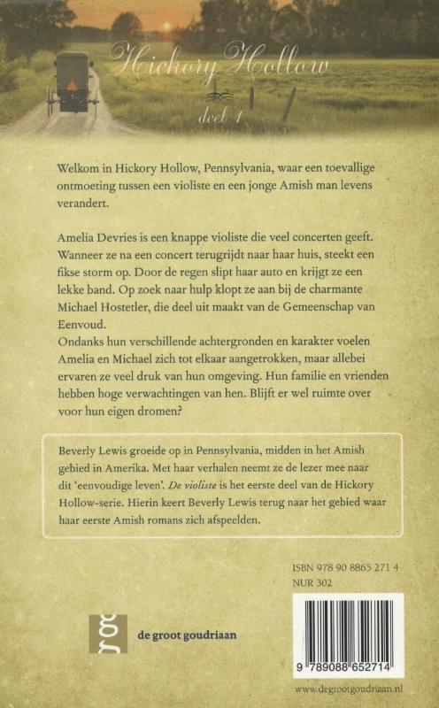 Achterkant van De violiste