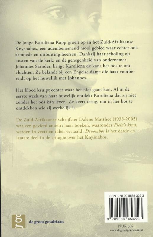 Achterkant van Droombos