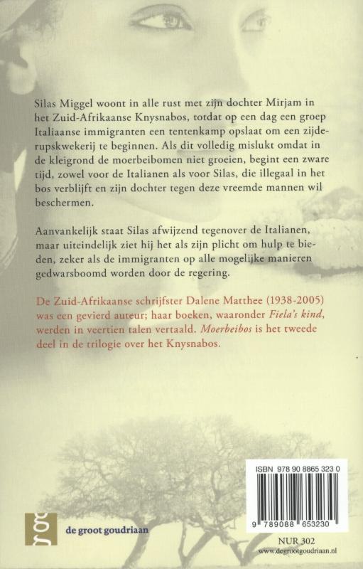 Achterkant van Moerbeibos