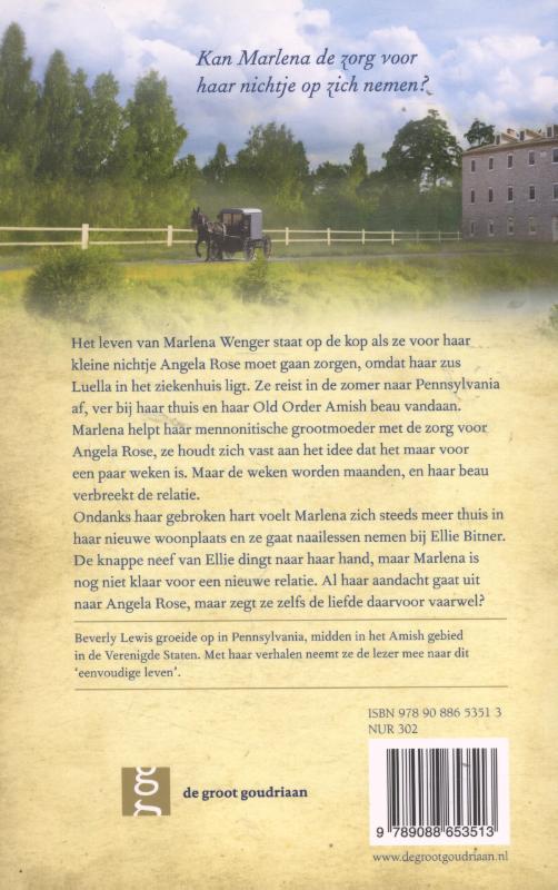 Achterkant van De liefdesbrieven
