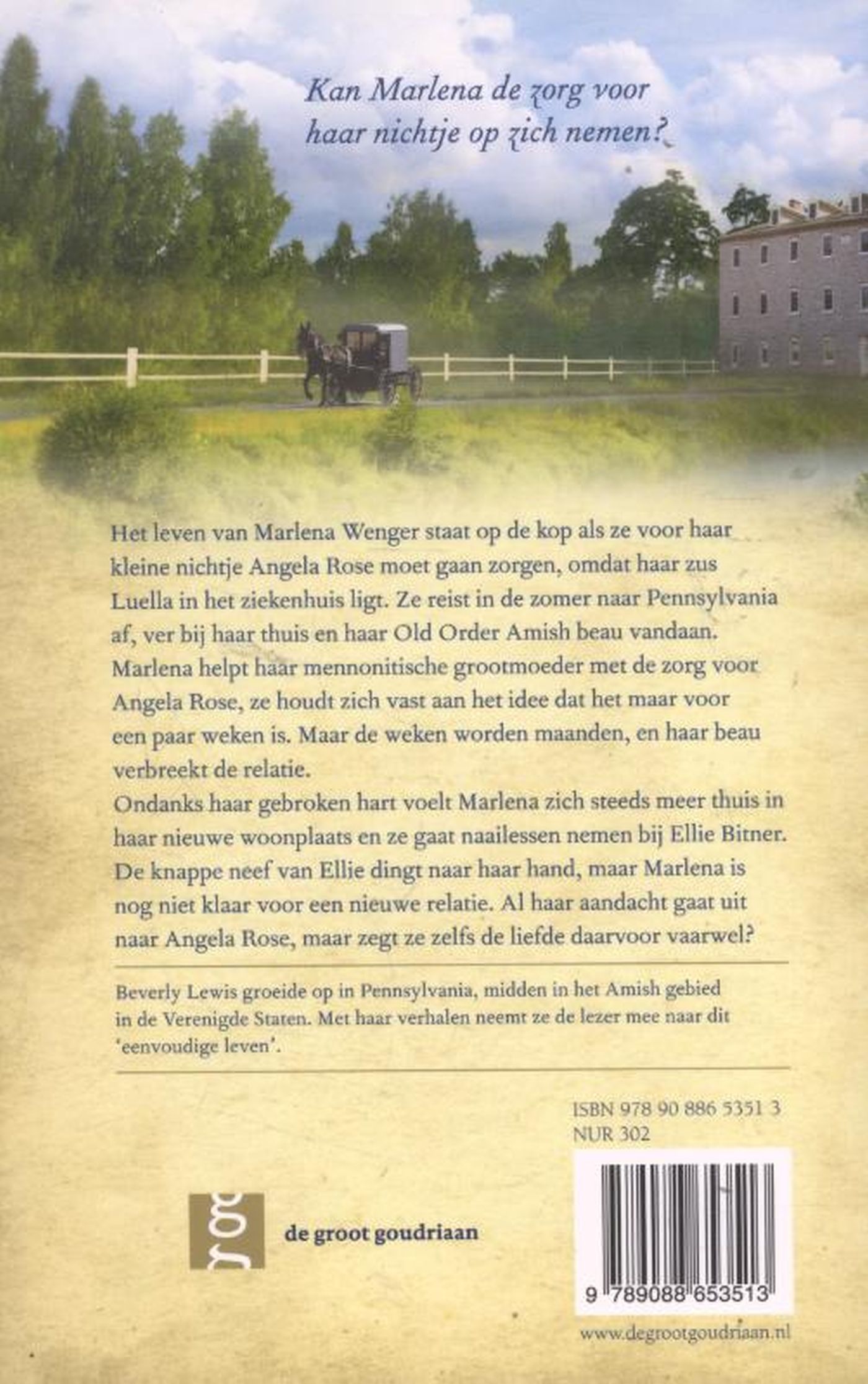 Achterkant van De liefdesbrieven