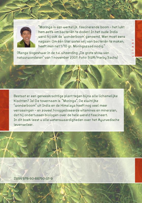 Achterkant van De wonderboom Moringa