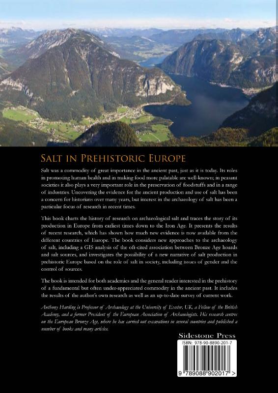 Achterkant van Salt in prehistoric Europe