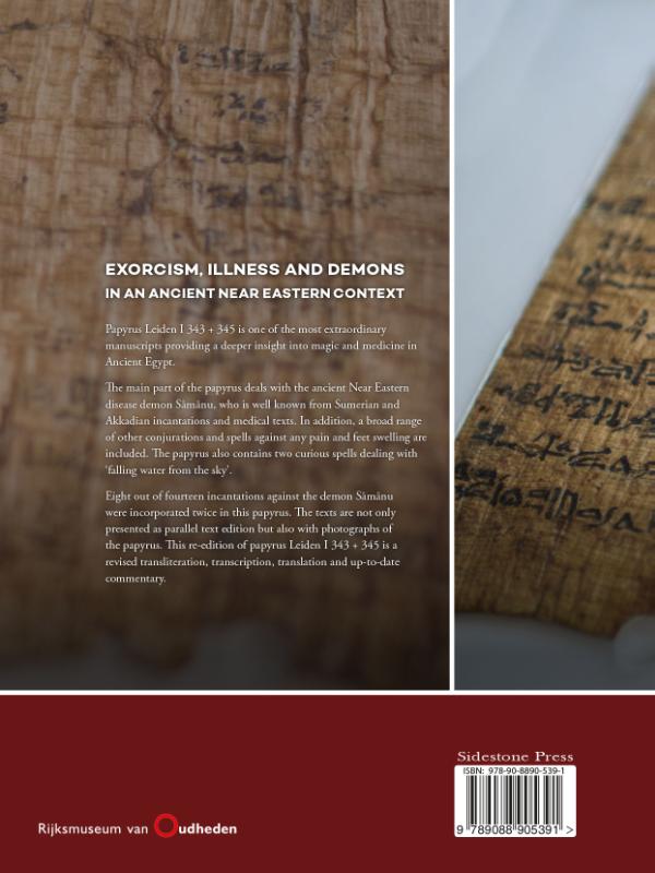 Achterkant van Exorcism, illness and demons in an ancient Near Eastern context