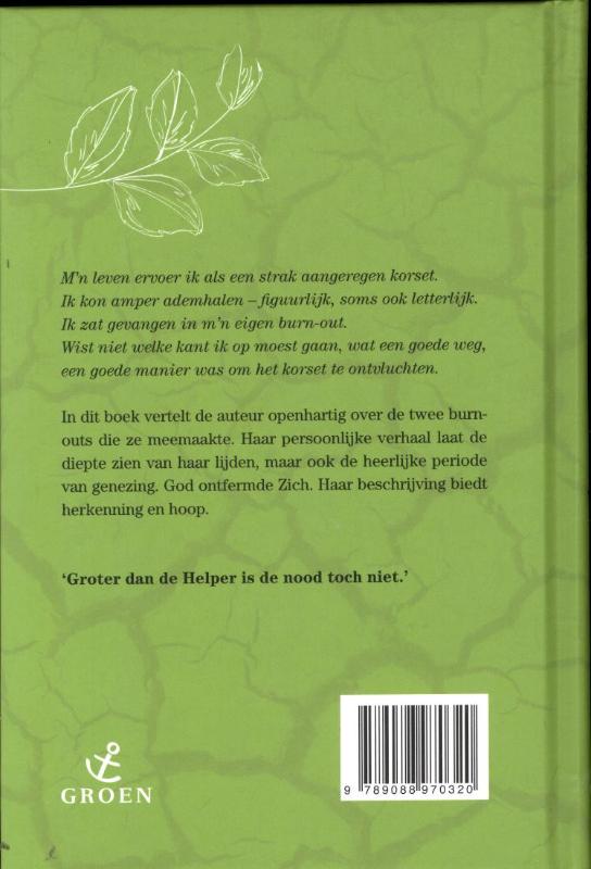 Achterkant van Burn out en zo