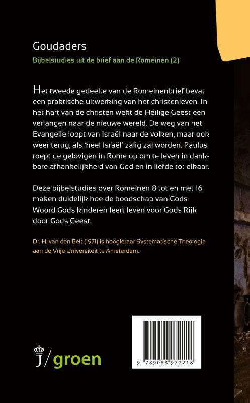 Achterkant van Goudaders