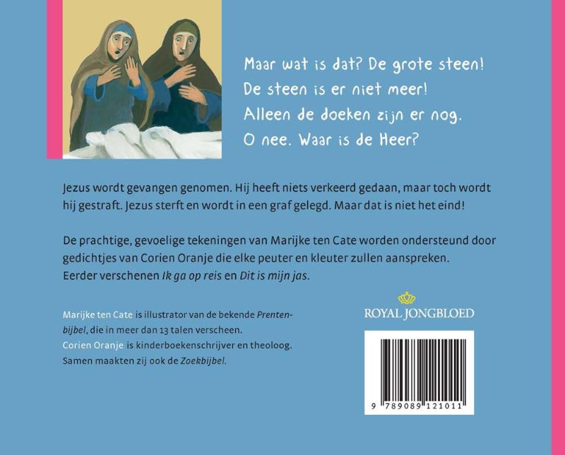 Achterkant van De steen is weg