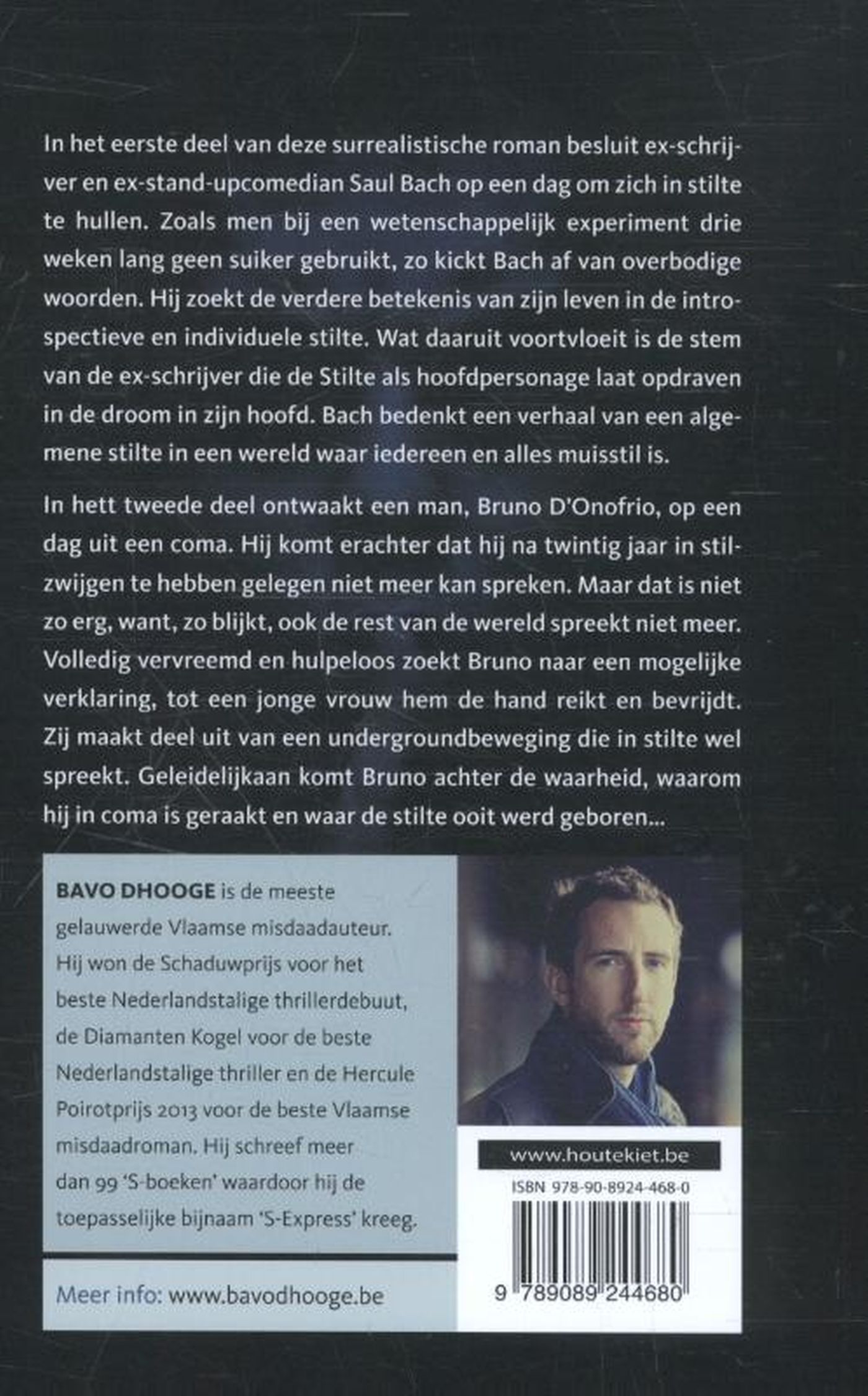Achterkant van De stilte