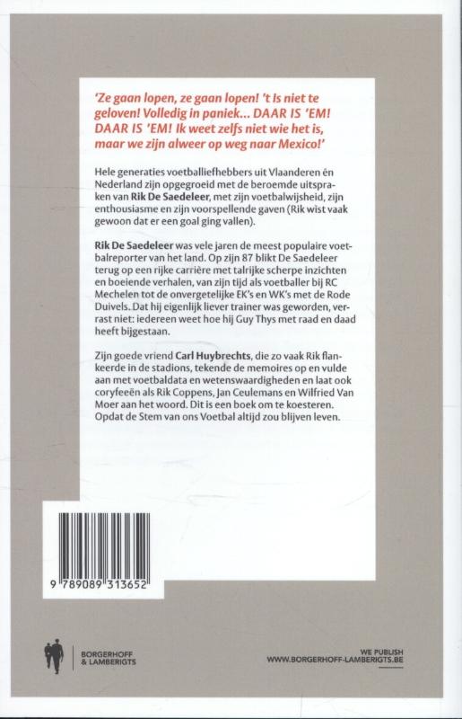 Achterkant van Rik de Saedeleer