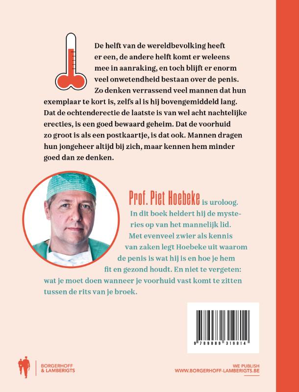 Achterkant van De Penis