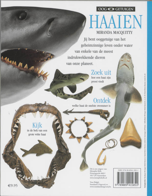 Achterkant van Haaien
