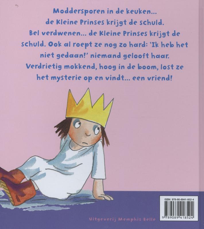 Achterkant van Ik heb het niet gedaan