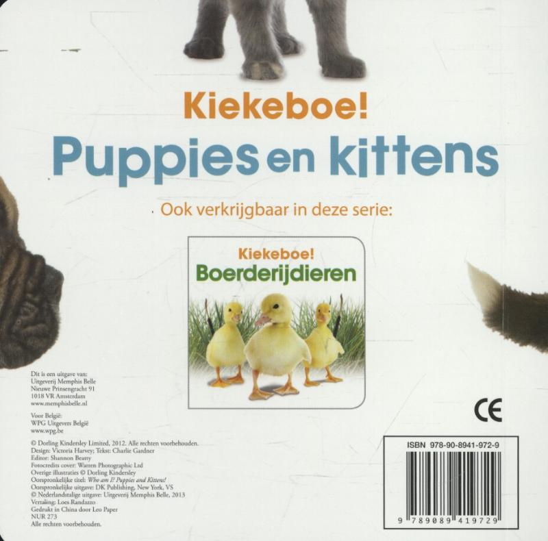 Achterkant van Puppies en kittens