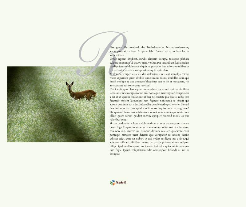 Achterkant van Het groot rechtenboek der vaderlandsche natuurbescherming