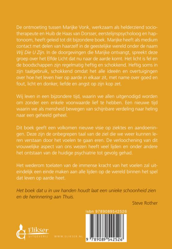 Achterkant van Het elfde licht