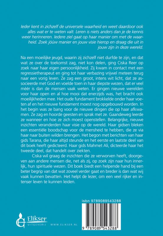 Achterkant van De ziel in een vreemd land