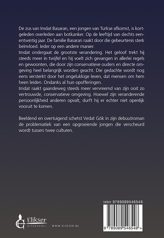 Achterkant van De ommekeer