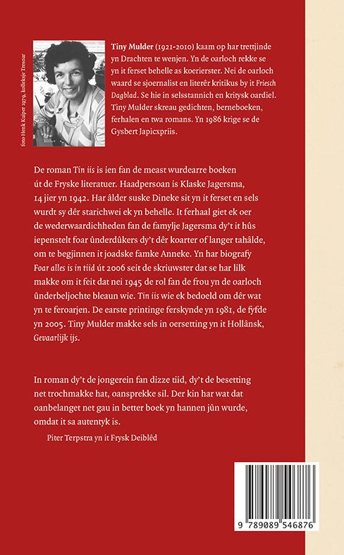 Achterkant van Tin iis