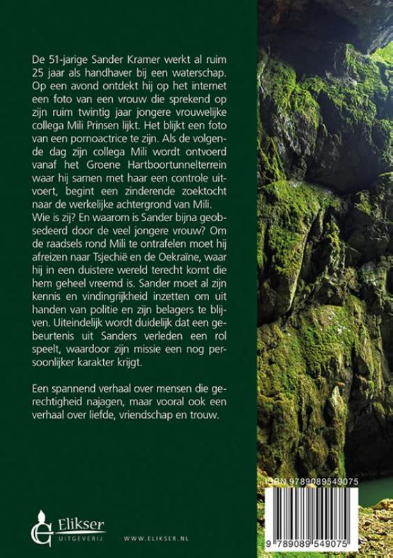 Achterkant van Het verleden voltooid
