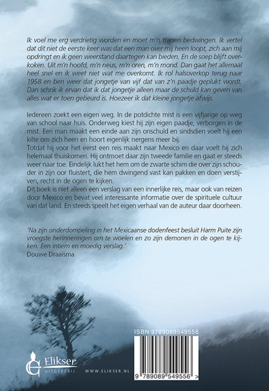 Achterkant van Mist