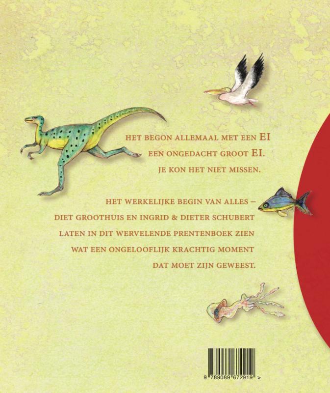 Achterkant van Het Ei