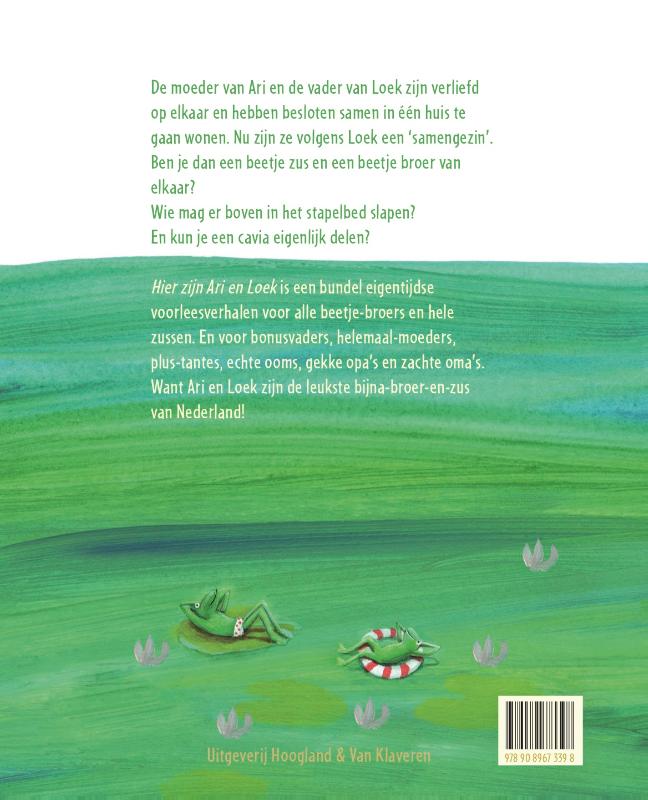 Achterkant van Hier zijn Ari en Loek